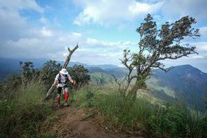 BIB: 
                            <button type="button" onclick="openModal(22373402)" class="btn btn-primary btn-sm float-right btn-popup" data-toggle="modal" data-target=".modal-high-quality">
                        <i class="fas fa-shopping-cart"></i> Add to Cart
                    </button>
                                            <button type="button" onclick="isThisMe(22373402, true)" class="btn btn-success btn-sm float-right btn-popup btn-isme hidden" data-toggle="tooltip" data-placement="bottom" title="นี่คือรูปของคุณใช่ไหม คลิกที่นี่เพื่อเอาเข้าอัลบั้ม">
                        <i class="fas fa-plus"></i> Add to album
                    </button>
                    <button type="button" onclick="isThisMe(22373402, false)" class="btn btn-warning btn-sm float-right btn-popup btn-isnotme hidden">
                        <i class="fas fa-ban"></i> Remove from album
                    </button>